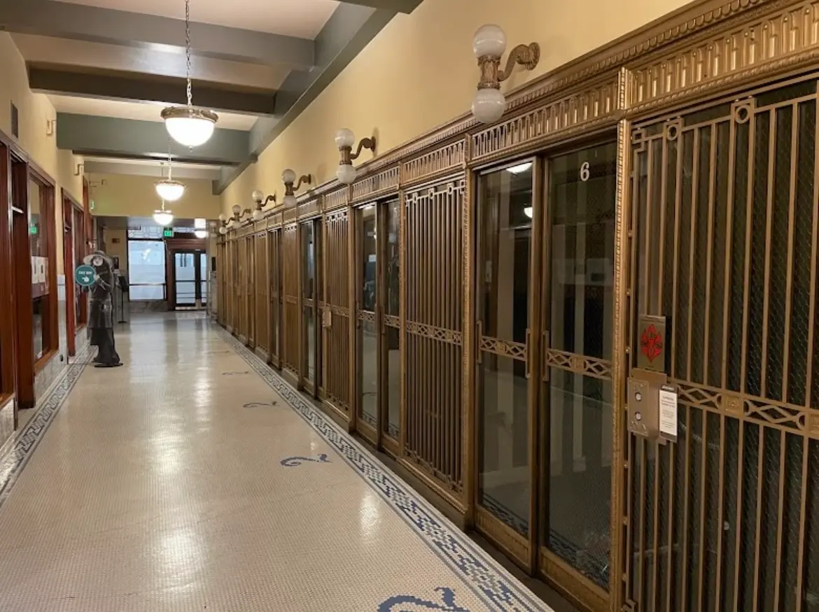 Professional Security Guard